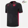 Albania Camiseta Replicas Alternativa 2025 Preto