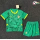 Senegal Camisa Baratas Visitante 2025 (Camisola + Calções) Verde/Amarelo