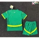 Senegal Camisa Baratas Visitante 2025 (Camisola + Calções) Verde/Amarelo