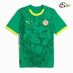 Senegal Equipacione Qualidade AAA Away Segundo Kit 2025 Verde