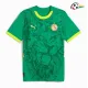 Senegal Equipacione Qualidade AAA Away Segundo Kit 2025 Verde Senegal Equipacione Qualidade AAA Away Segundo Kit 2025 Verde