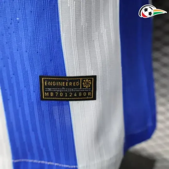 Camisa Brighton Baratas Local Primeiro Kit 2025/26 Versão Jogador Azul/Branco Camisa Brighton Baratas Local Primeiro Kit 2025/26 Versão Jogador Azul/Branco