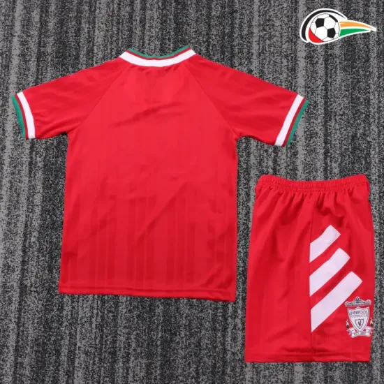 Camisa Liverpool Titular 1993/95 Retrô Infantil Vermelho