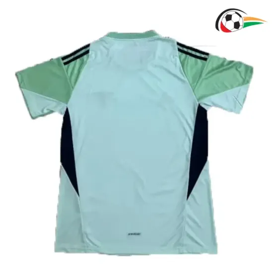 Camisa do Guarda-Redes Arsenal 2025/2026 Verde Claro/Preto