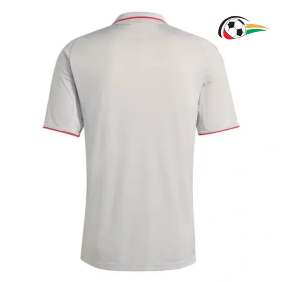 Camisa Olympique De Lyon Third 2025/26 Cinza