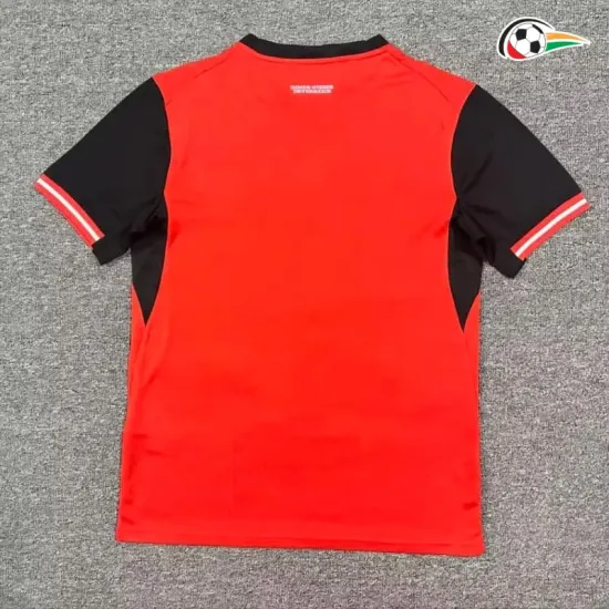 Camisa Titular Austria Copa do Mundo 2026 Vermelho