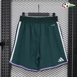 Shorts de Futebol Versão Jogador Titular Saudi Arabia Copa do Mundo 2026 Verde