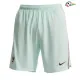 Shorts de Futebol Reserva Francia Copa do Mundo 2026 Verde Menta