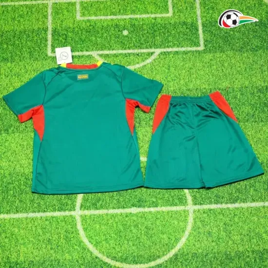 Camisa Reserva Infantil Senegal Copa do Mundo 2026 Verde