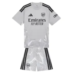 Camisa de Goleiro Infantil Arsenal 2026/2027 Cinza